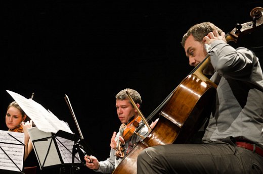 Quatuor Diotima | © Karel Šuster | Contempuls 4